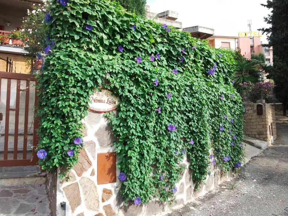 B&B Nonna Luisa Tarquinia Exterior foto